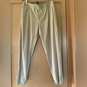 Everlane Performance Wear Jogger Legging Elastic Waist and Ankle / medium